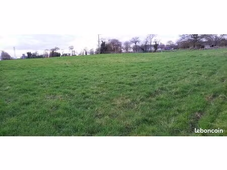 terrain constructible