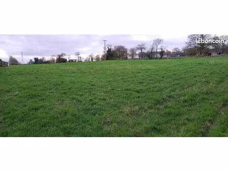 terrain constructible