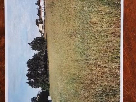 terrain constructible