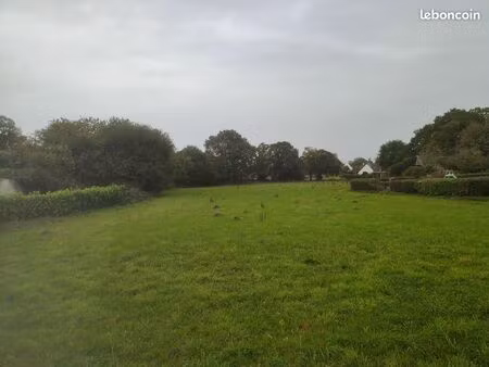 a saisir terrain constructible 8500m2