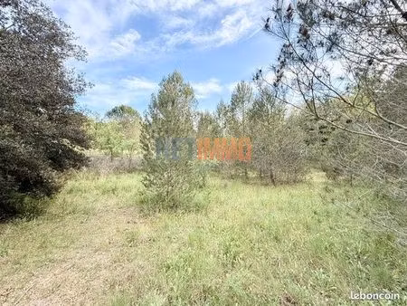 terrain 8000 m² vauvert