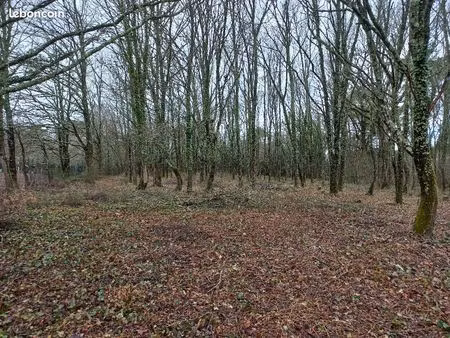 terrain 2 000 m² saint medard de mussidan