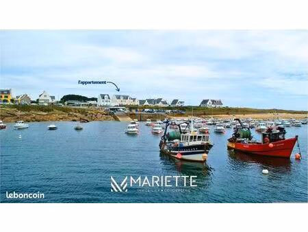 appartement 1 pièce 20 m²