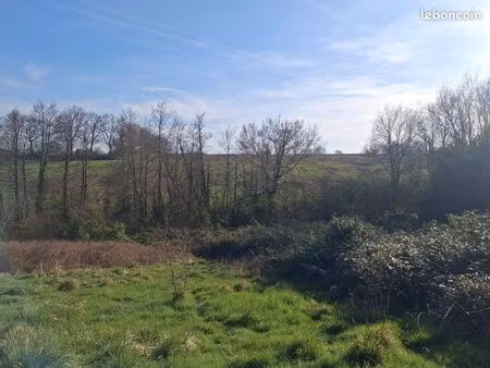 terrain constructible