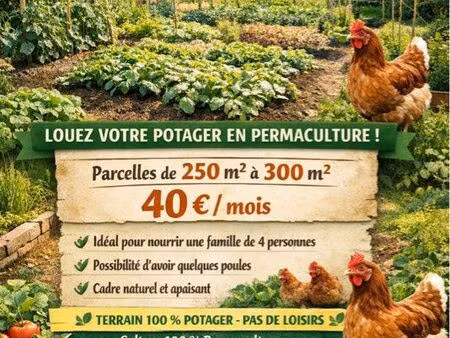 jardin potager