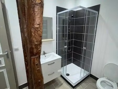 t2 plein centre de mirande