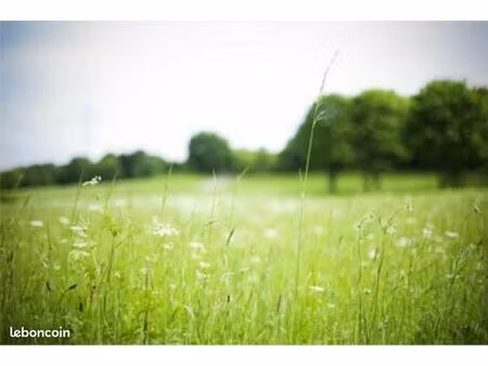 recherche 2 hectares prés pour chevaux