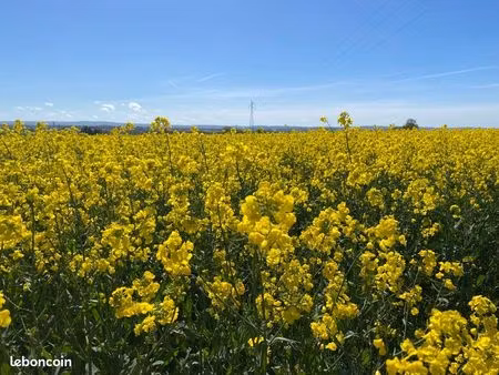 recherche t2 bis / t3