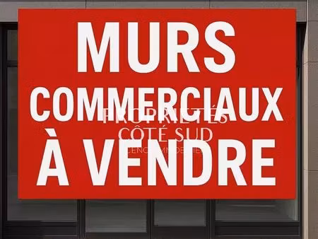 local commercial 311 m² saint-laurent-des-arbres