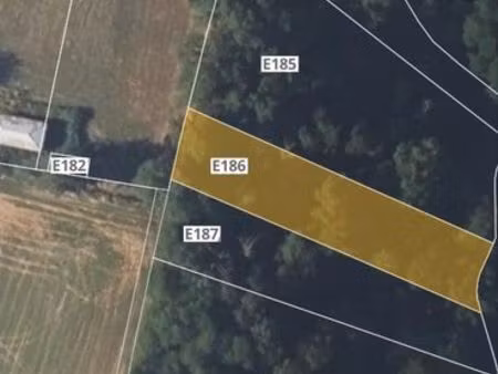 bois taillis de 10 ares et 30 centiares à saint chef  isère