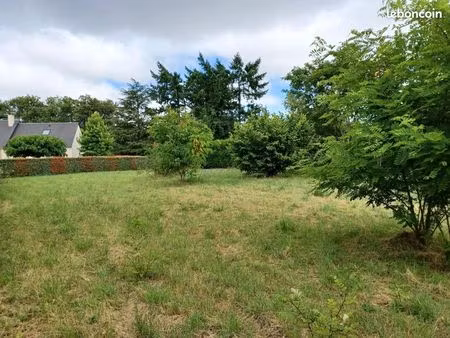 terrain 1642 m² chinon