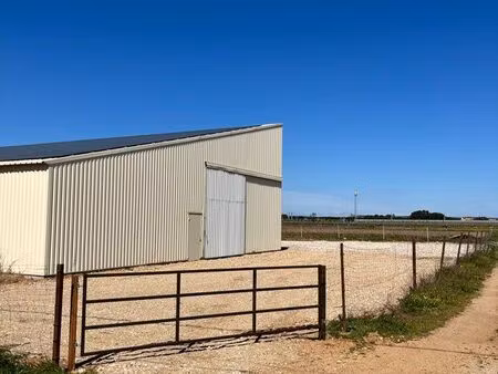 hangar agricole stockage grand extérieur