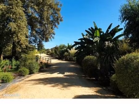 chalet dans les landes