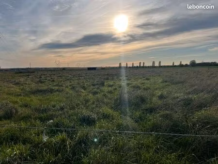 terrain/prairie 1.5ha clôturé