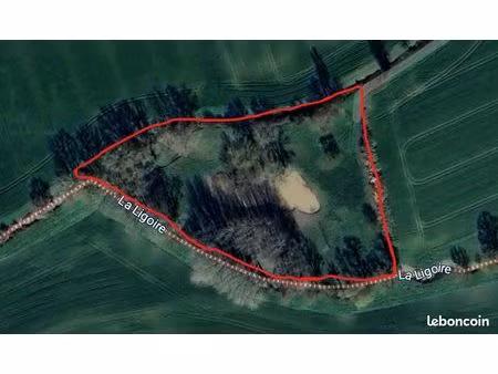 terrain 11000m2 la chapelle blanche saint martin