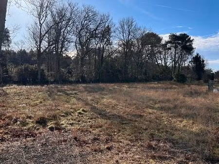 terrain constructible viabilisé