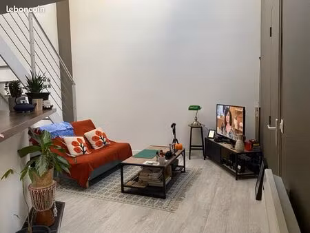 appartement duplex centre-ville chateauneuf-sur-loire