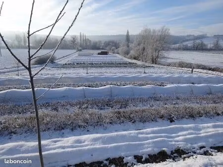 terrain agricole maraîchage