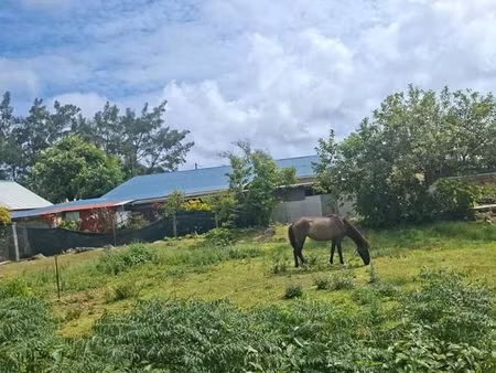 recherche terrain avec eaux et abri