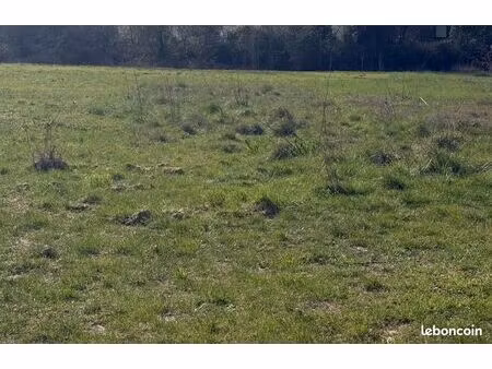 terrain agricole