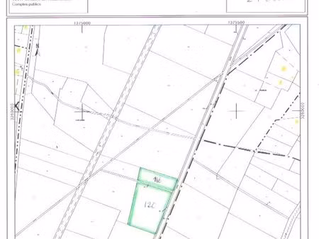 terrain forestier de 2 hectares à sanguinet ( 40 )