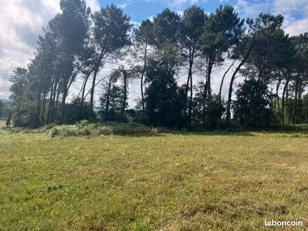 terrain 2 300 m² samazan