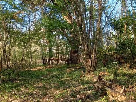 cherche terrain non constructible