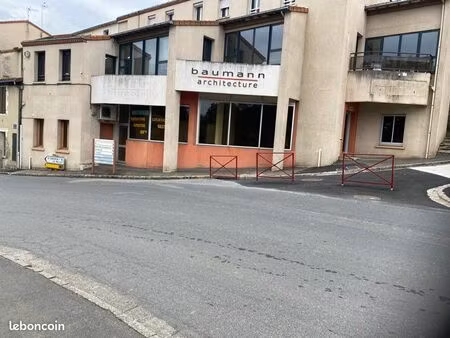 appartement 125 m2 possibilité bureaux atelier sevremoine