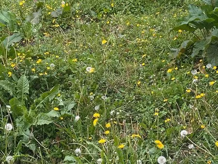 terrain constructible 370m2