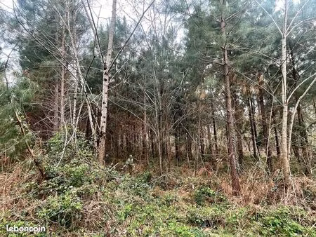 terrain 10822 m² sauviac