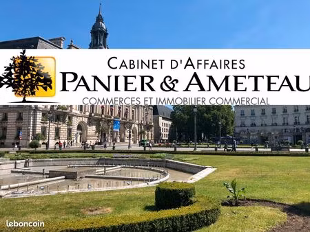 emplacement n°1 - local 25 m2 rue pietonne