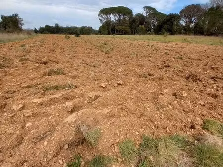 location terrain agricole