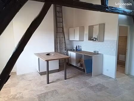 loft f3/f4 lumineux centre ville