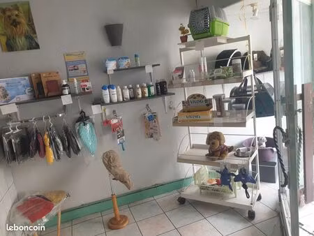 fonds de commerce salon toiletage chien