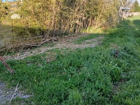 terrain constructible