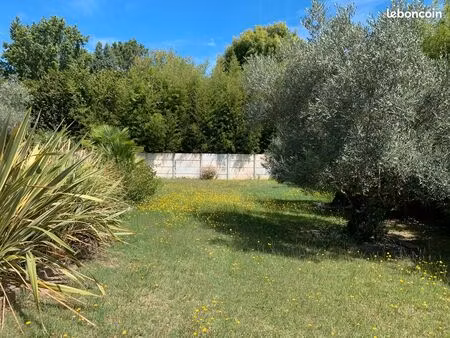 terrain nu et arboré  prêt à bâtir  471m²   plein centre ville à mios (33380)  viabilisé  