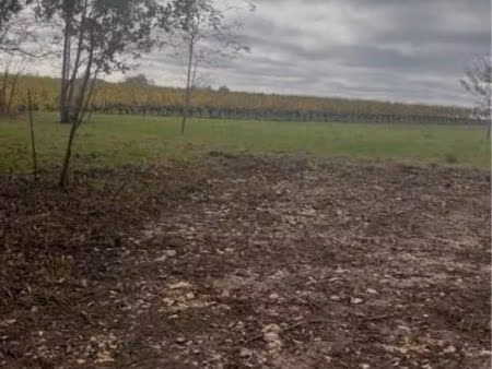 terrain 5 000 m² langoiran