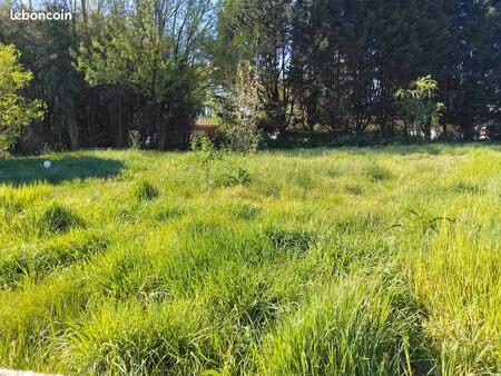 terrain a bâtir centre ville 643 m²