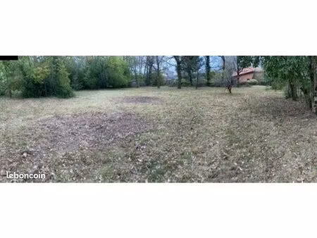 grand terrain constructible