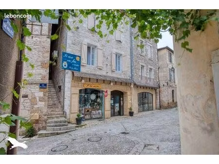 immeuble 342 m² souillac