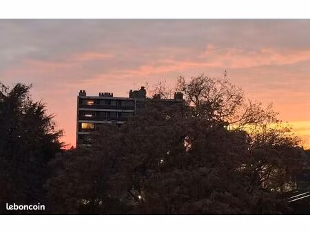 3 pièces quartier doutre / chu
