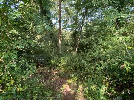 terrain boisé 2 18ha en zone nature