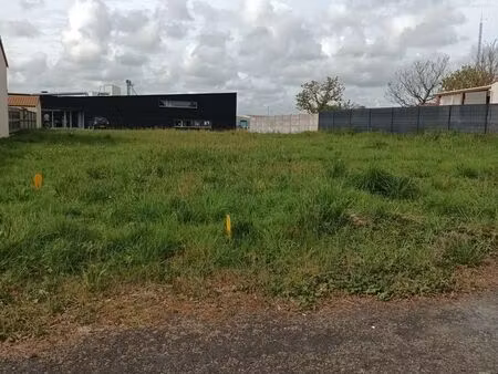 terrain clisson quartier notre dame