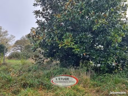 terrain 1231 m² pontchâteau