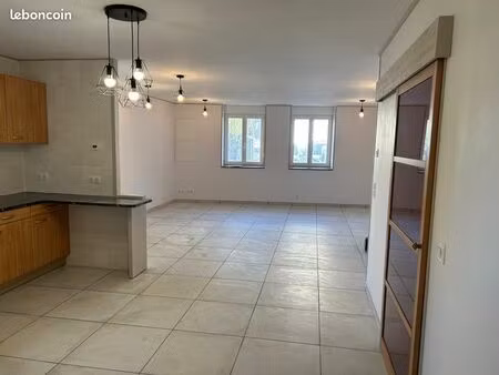 appartement rdc 100m2 centre ville