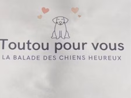 recherche en location terrain / maison avec espace extérieur