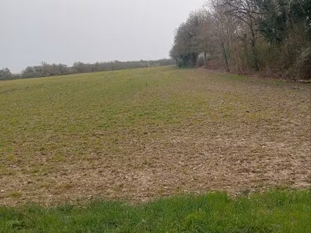 recherche terrain agricole