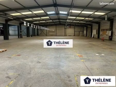 local d'activite 3800 m² jacou