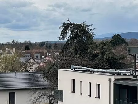 spécial investisseur appartement 3/4 pieces a colmar