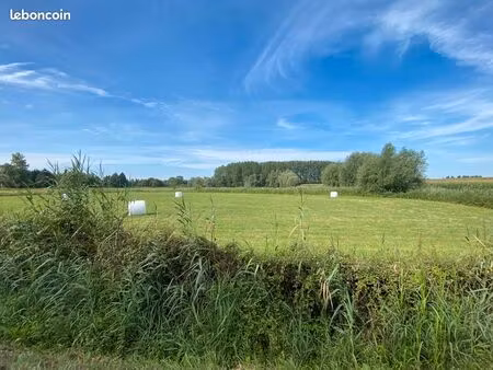 prairie à vendre aire sur la lys 7000 m2 libre d'occupation
